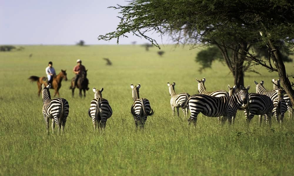 See Kenya’s wildlife in a different light: on horseback